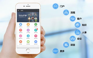 上海互聯網軟件集團 高端協同管理軟件與安全服務解決方案